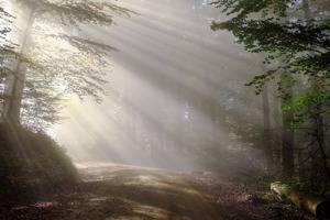 花山镇(花都花山镇旅游景点)